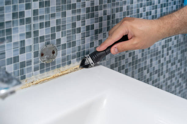 Best Health and Safety Mold Remediation in Brigham City, UT